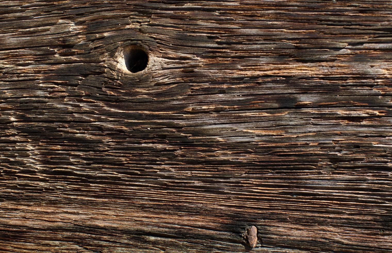 Wood grain texture photo