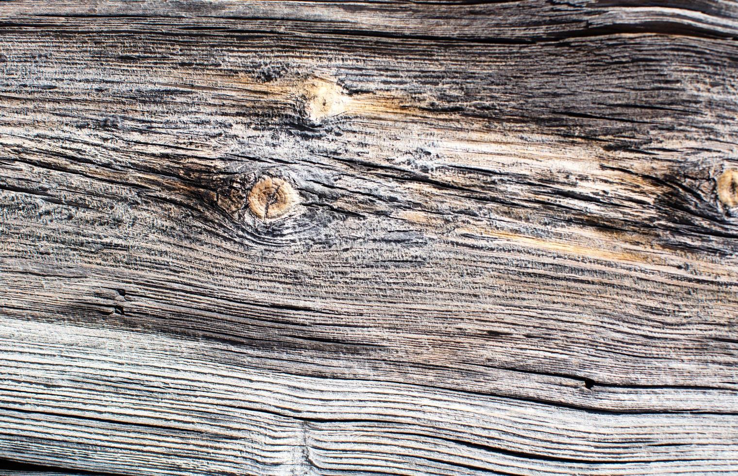 Wood grain texture photo