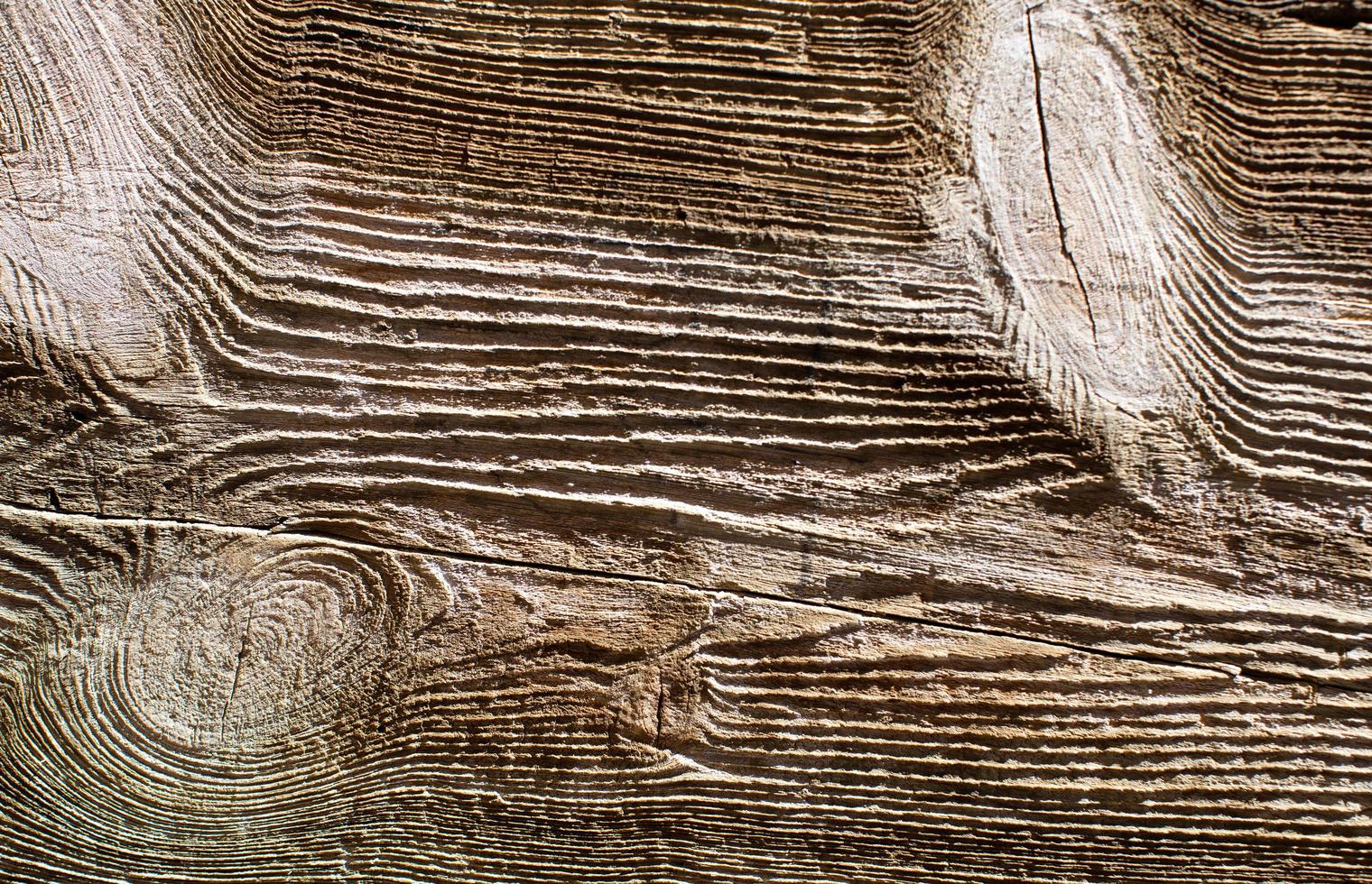 Wood grain texture photo