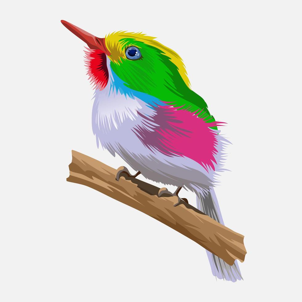 pequeño pájaro arcoiris brillante vector