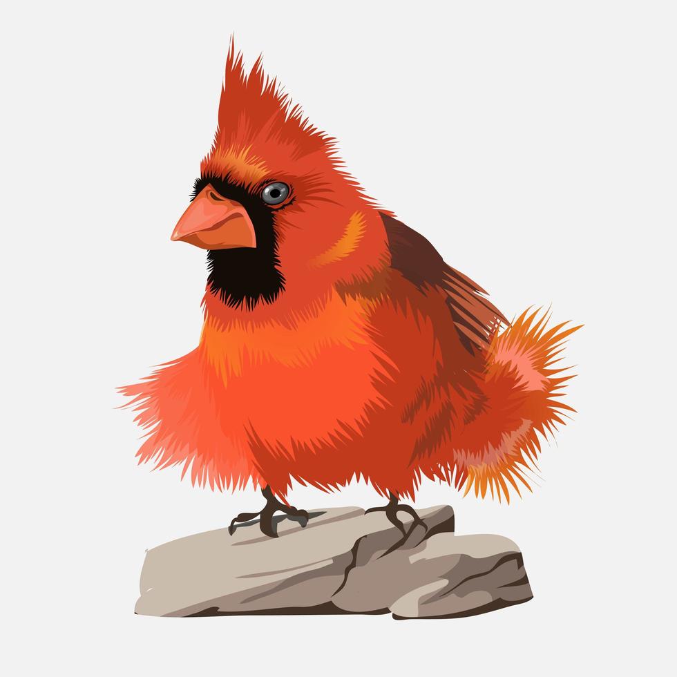 Small bright red bird with black face and big vertical tuft vector