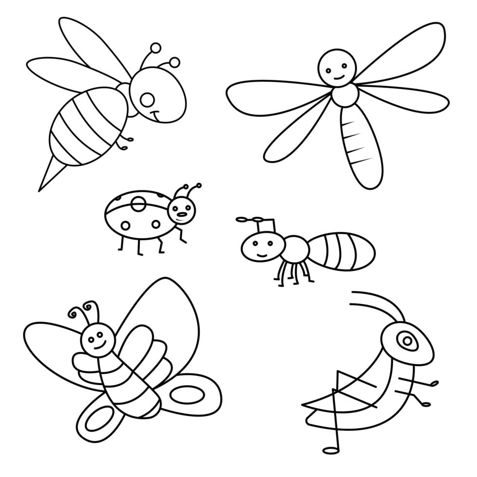Outline insect vector set