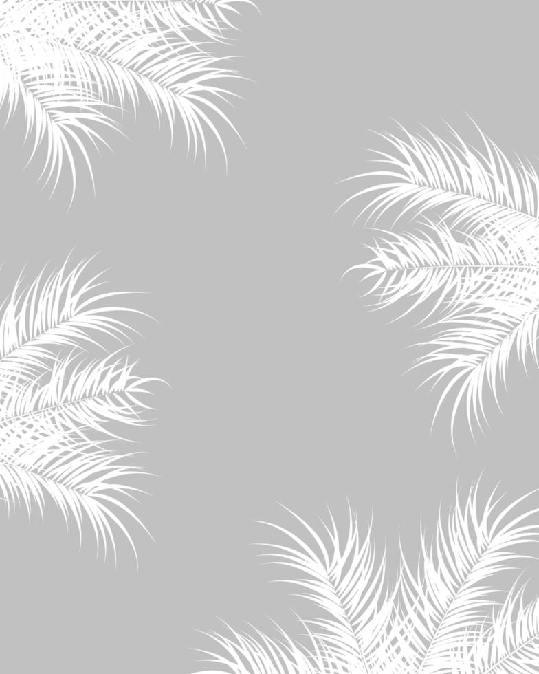 Tropical design with white palm leaves and plants on gray background vector