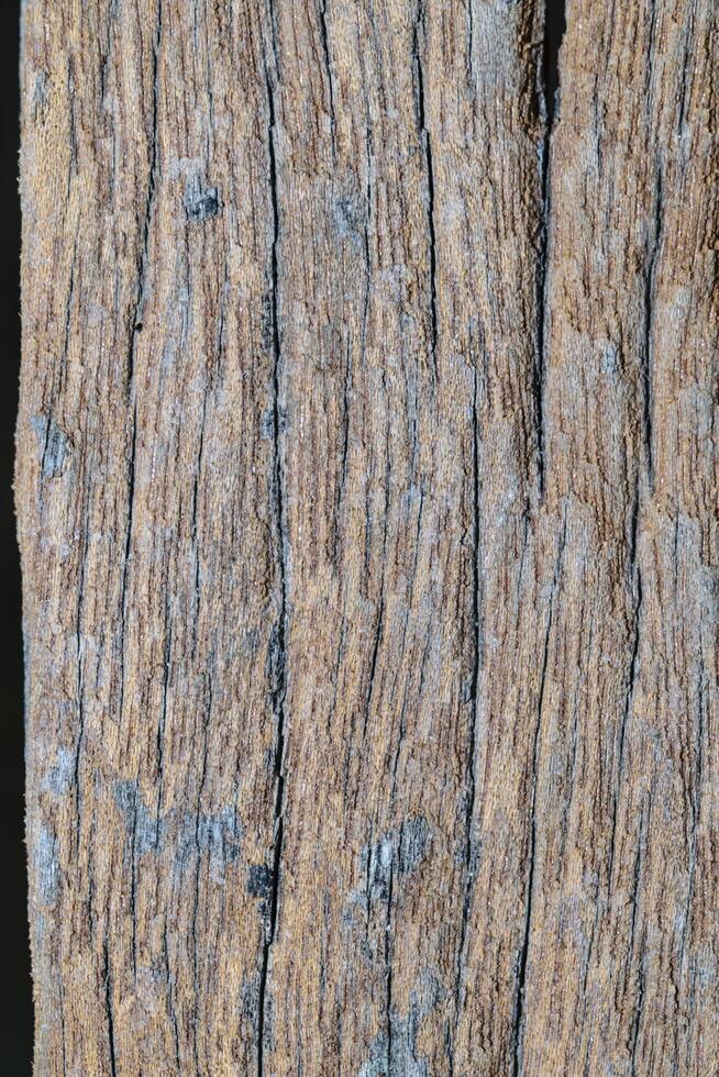 Wood texture background photo