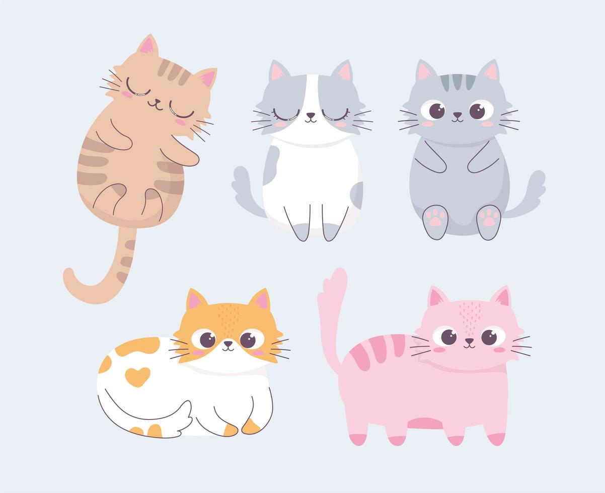 lindo gato pose diferente animal de dibujos animados personaje divertido vector