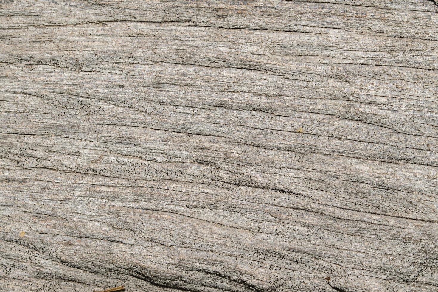 Wood texture background photo