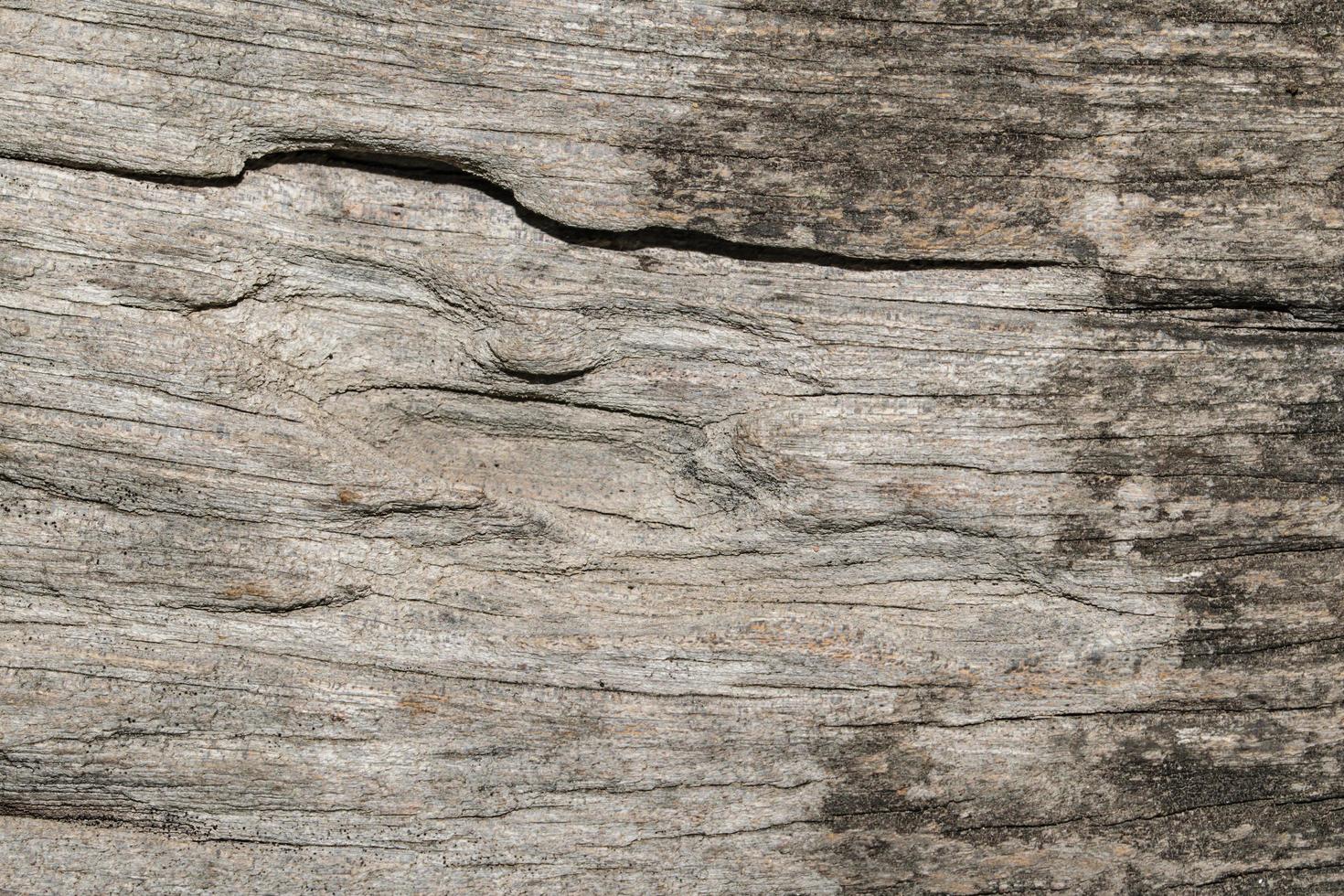 textura de madera de fondo foto