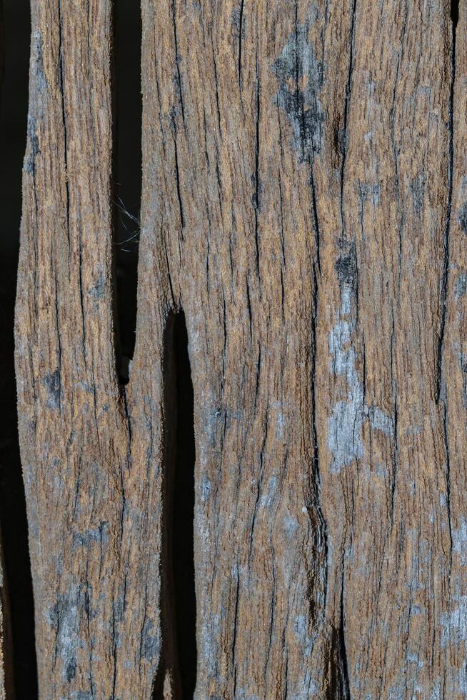 Wood texture background photo