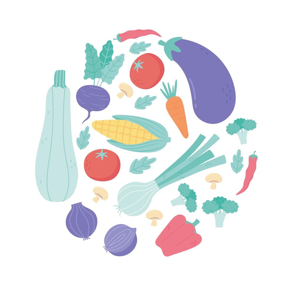 fresh cartoon organic vegetable eggplant tomato carrot radish pepper broccoli corn design vector