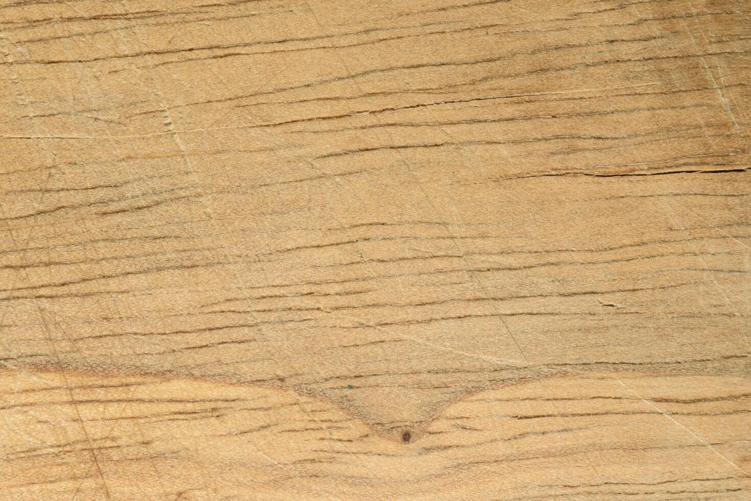 Wood texture background photo