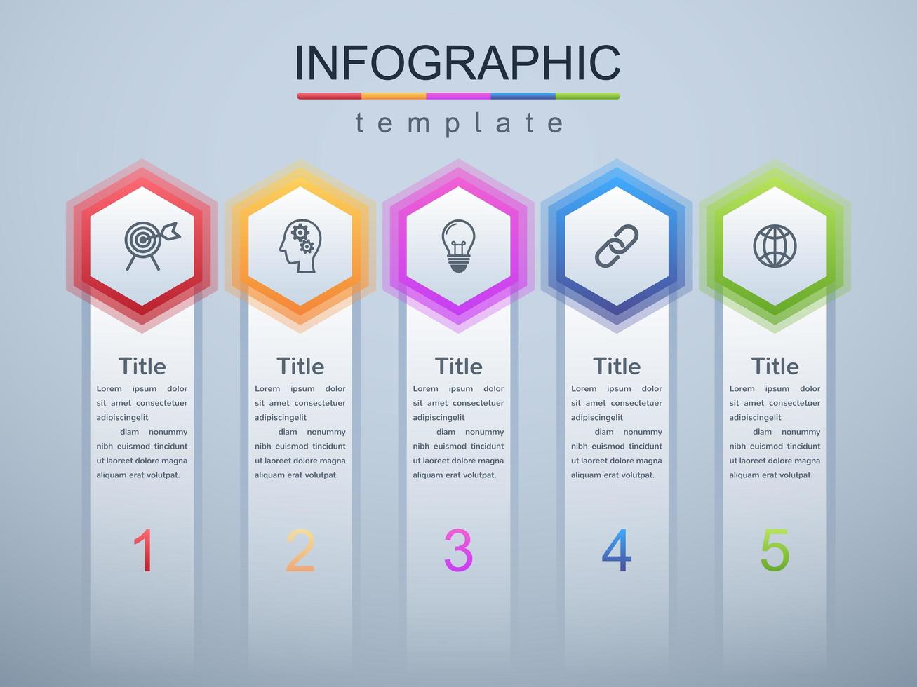 Modern infographic corporate and business template vector