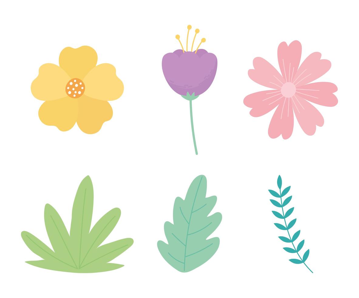 flores rama hojas follaje naturaleza decoración iconos vector