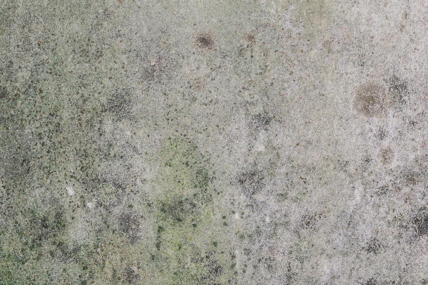 A close up of a wall with mold on it photo