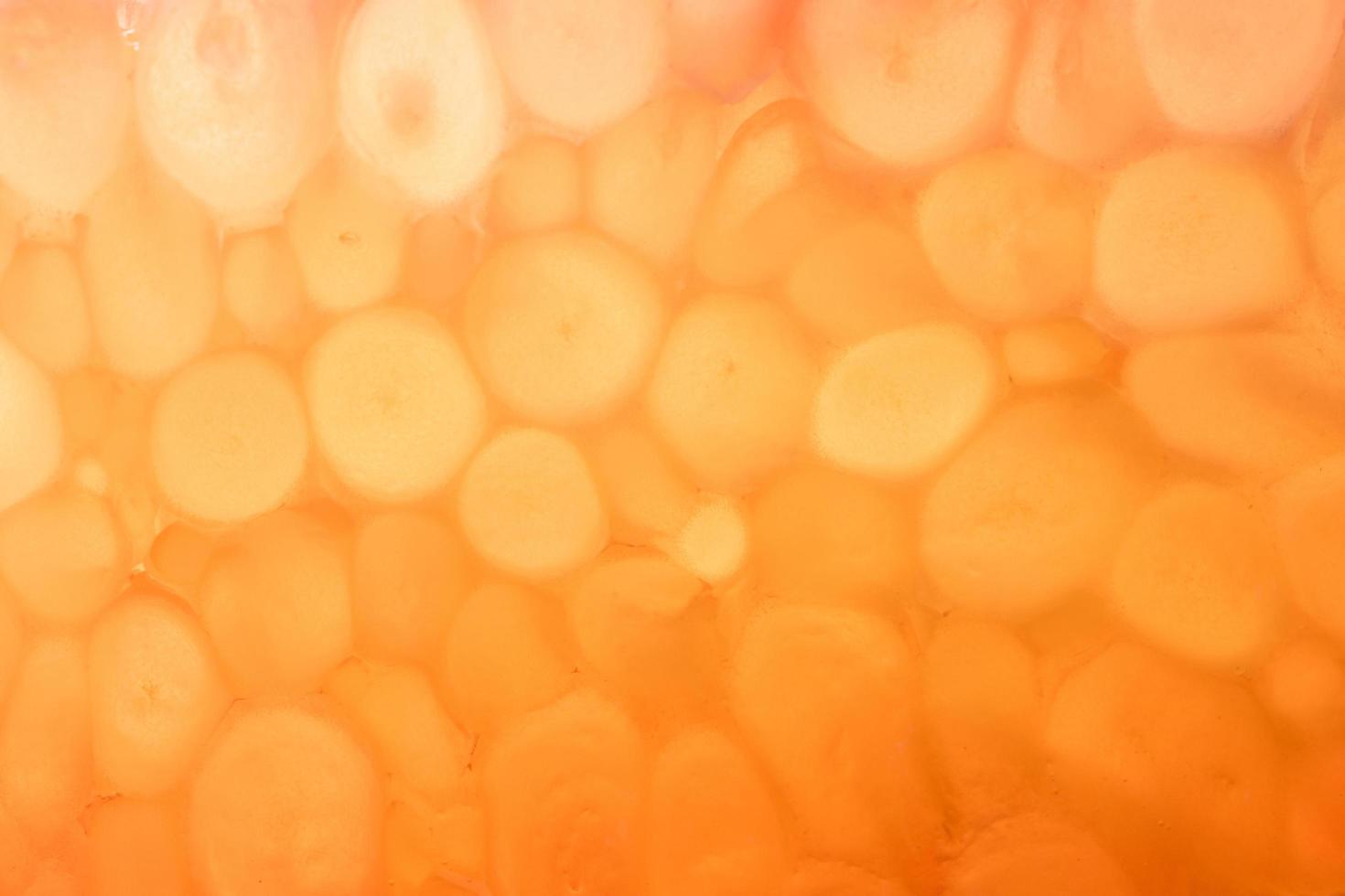 Background of grapefruit flesh photo