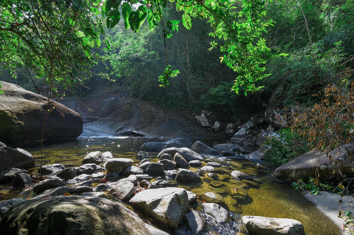 Stream in the Khao Chamao Waterfall National Park photo