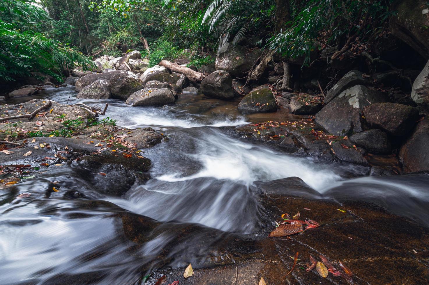 arroyo en el parque nacional de la cascada khao chamao foto