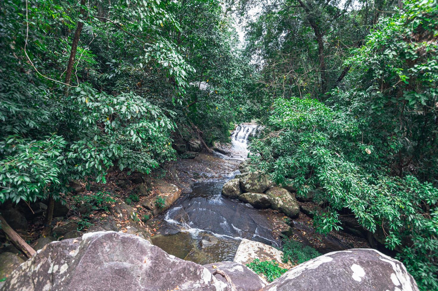 arroyo en el parque nacional de la cascada khao chamao foto