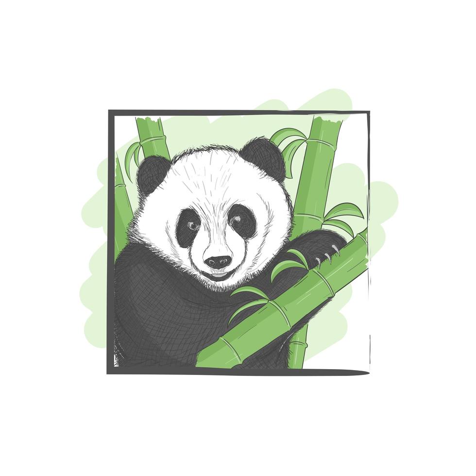 Hand drawn panda animal illustration vector