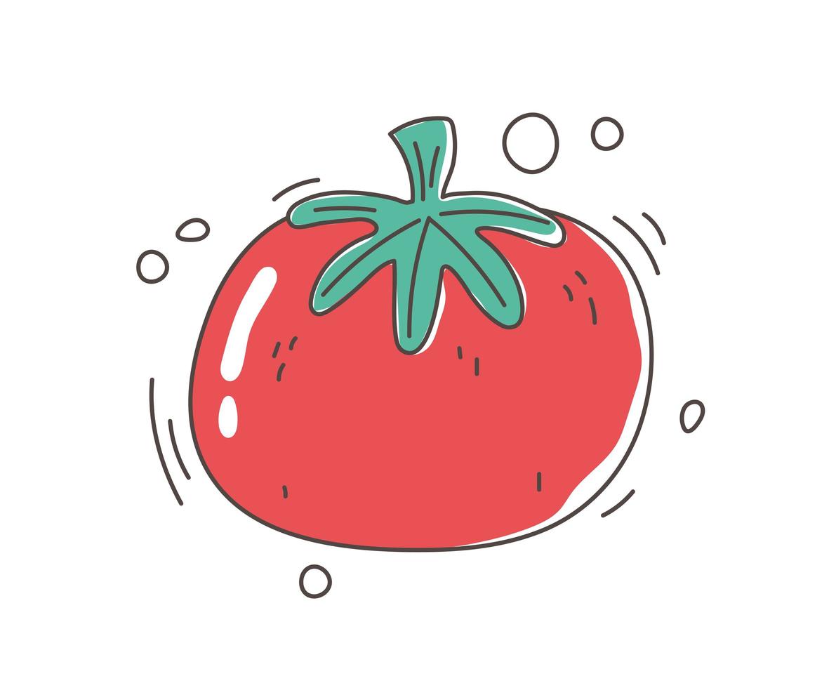 comida sana nutrición dieta orgánica cosecha tomate crudo vegetal icono vector