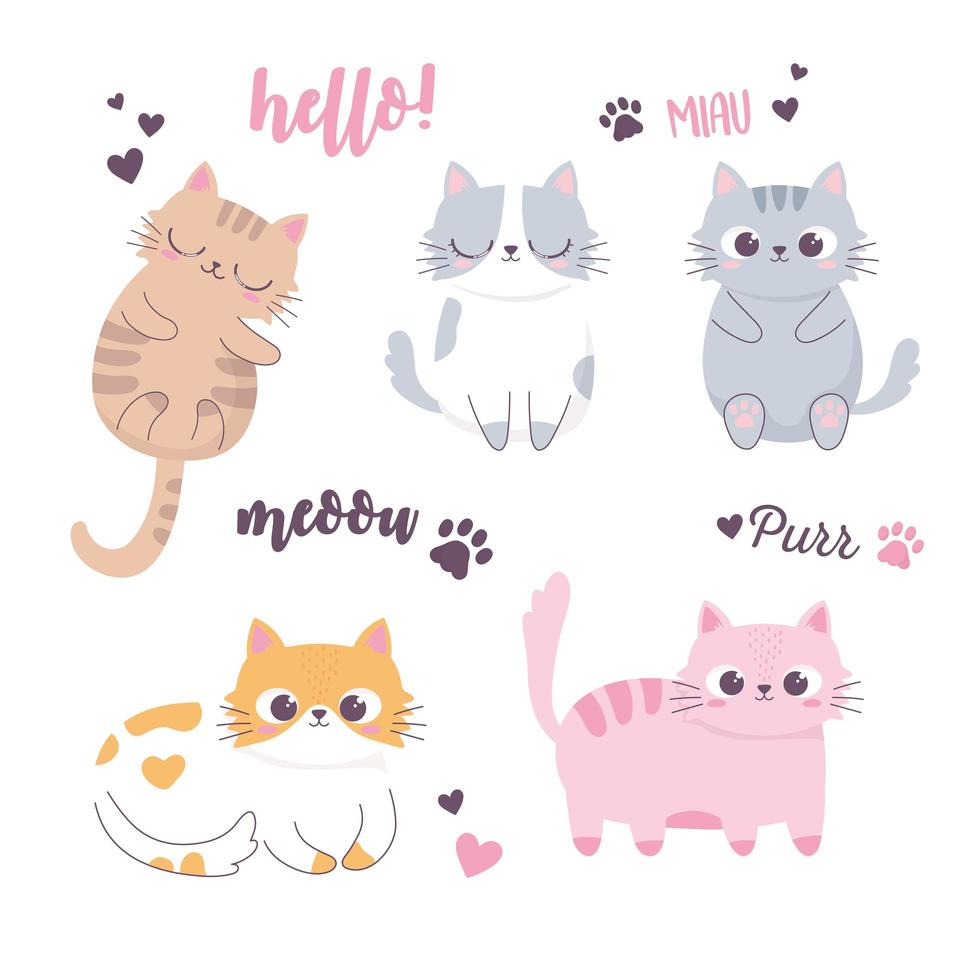 lindos gatos durmiendo y diferentes razas personaje de dibujos animados de animales divertidos vector