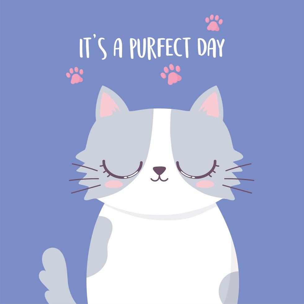 cute cat cartoon animal funny character and lettering love vector