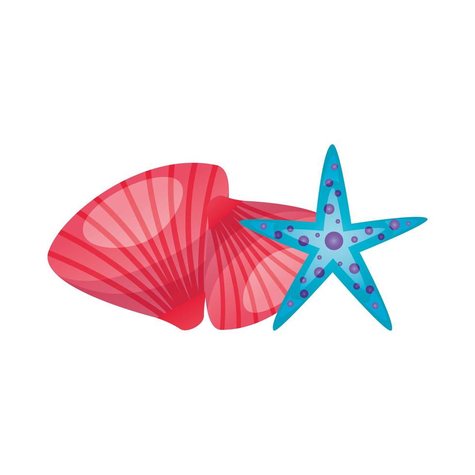 Isolated sea shells and star vector design