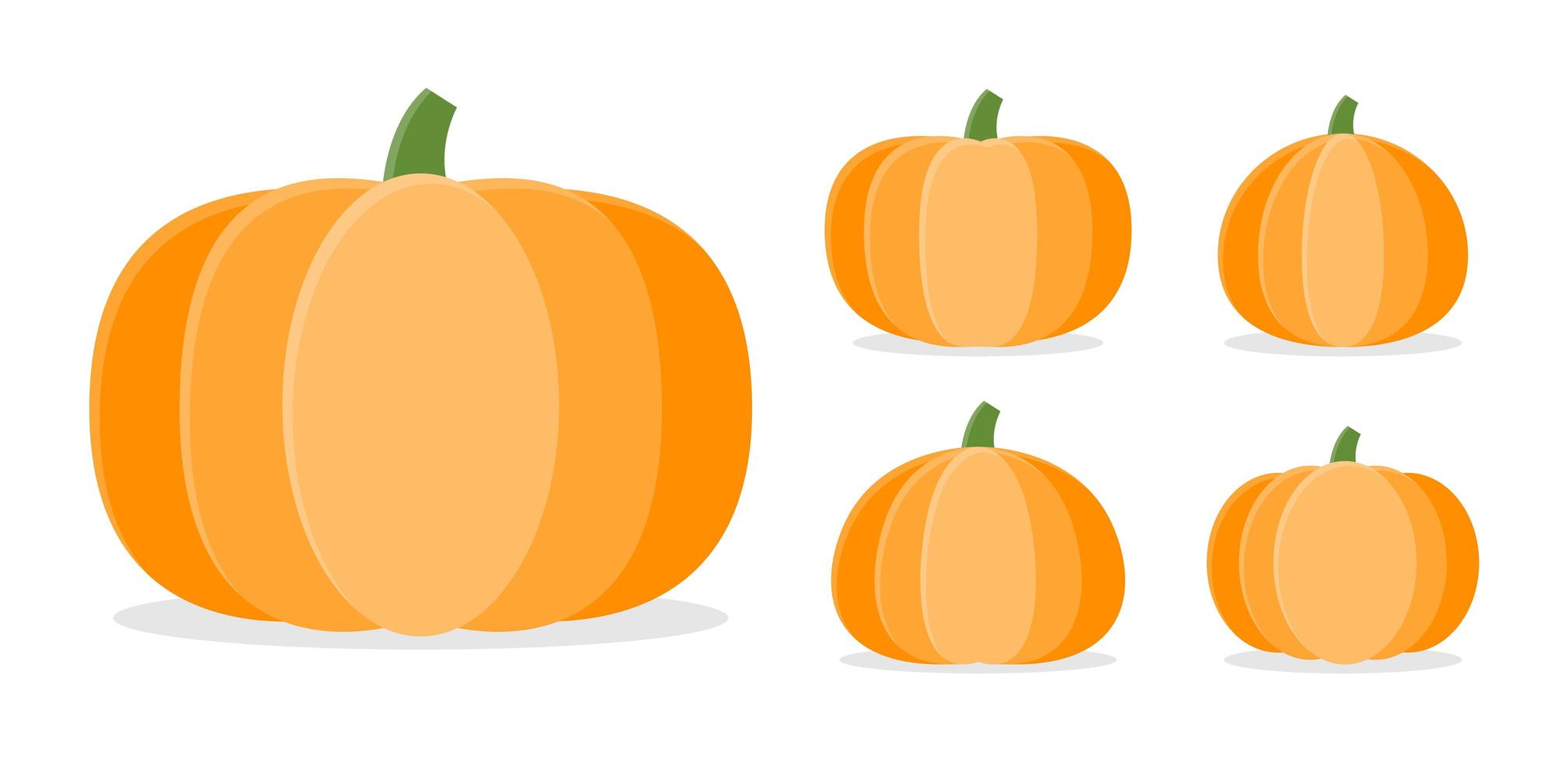 colección de calabazas de otoño en diferentes formas. vector