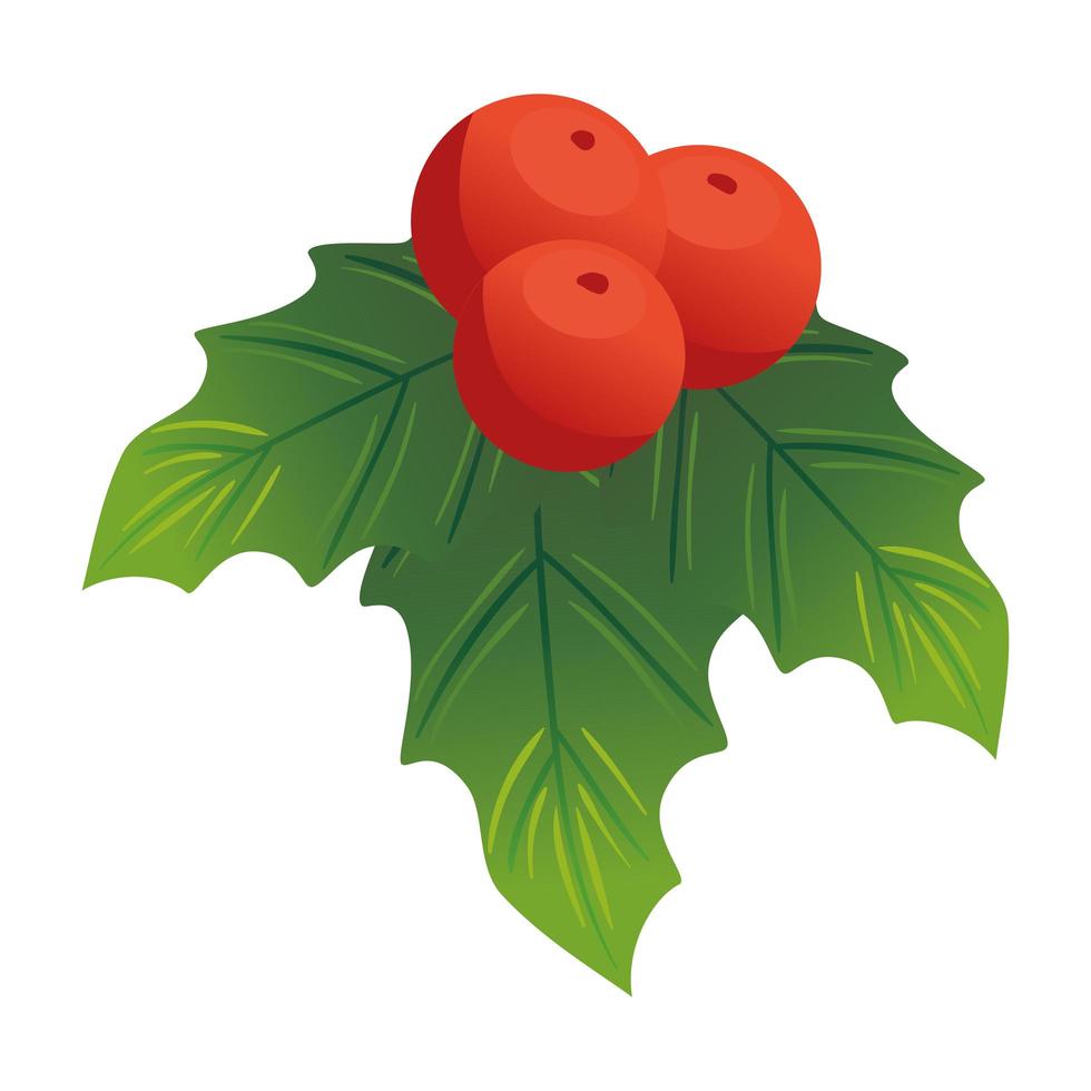 hojas decorativas navideñas con bayas vector