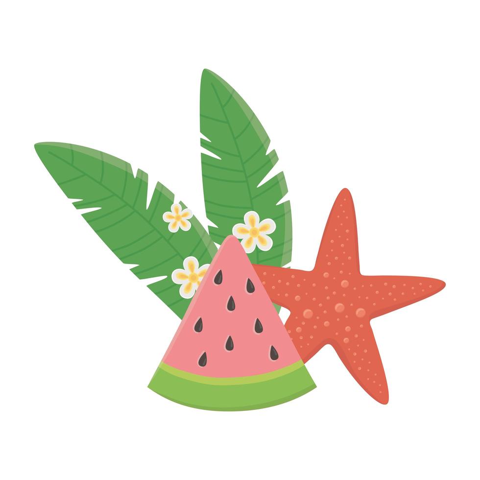 summer travel and vacation beach watermelon starfish flowers and leaves isolated design icon vector