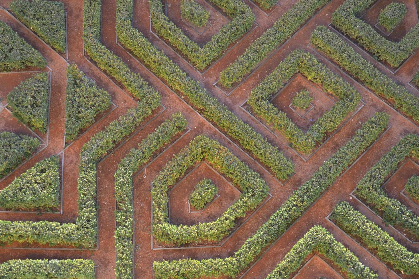 Green geometric garden photo