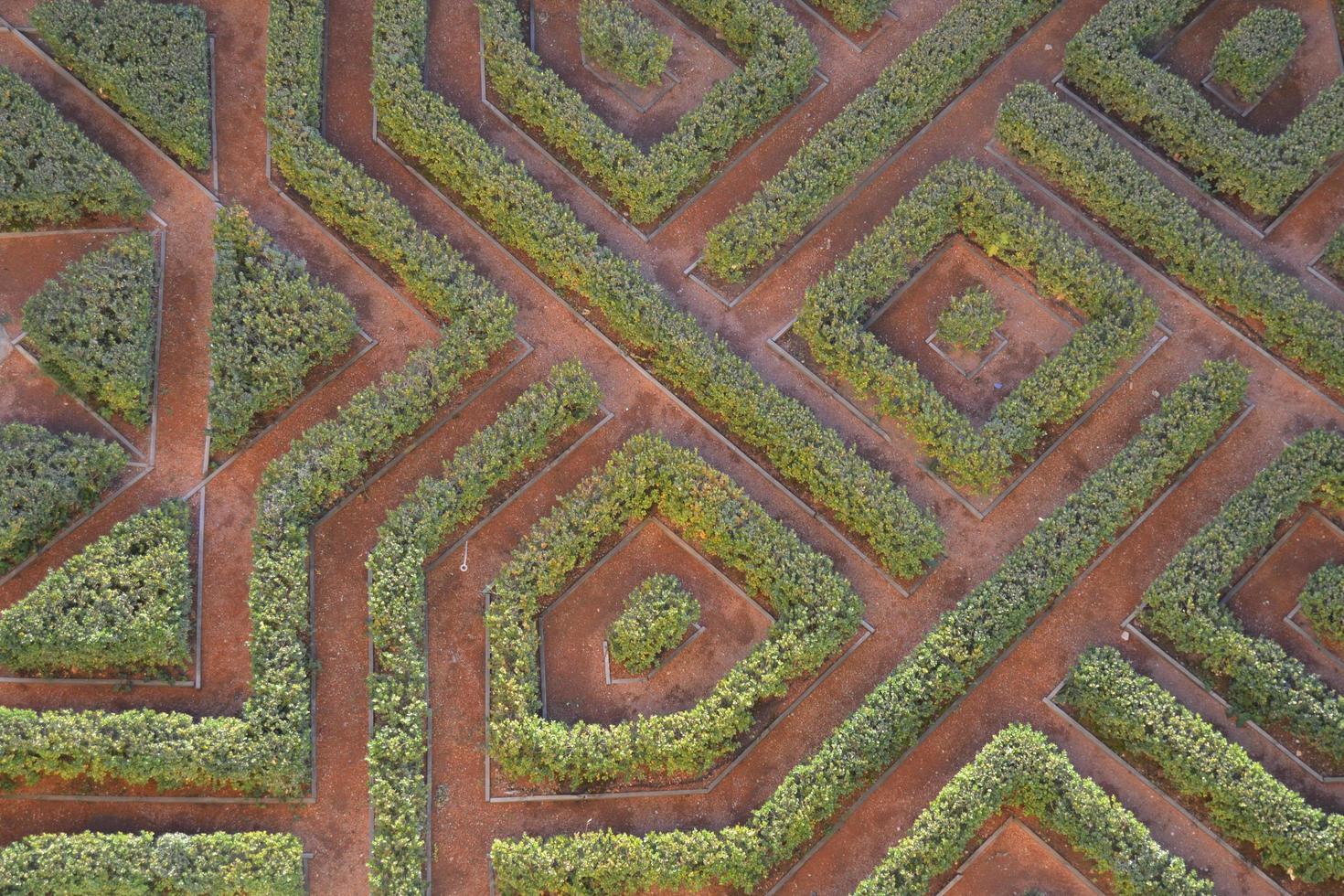 jardín geométrico verde foto