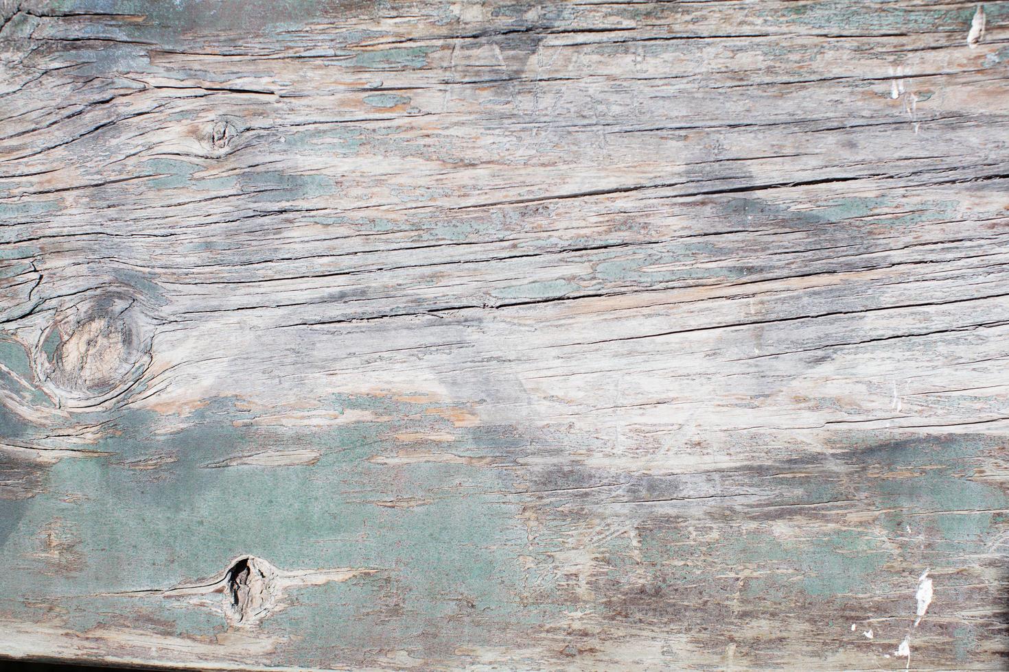 Wood grain texture photo