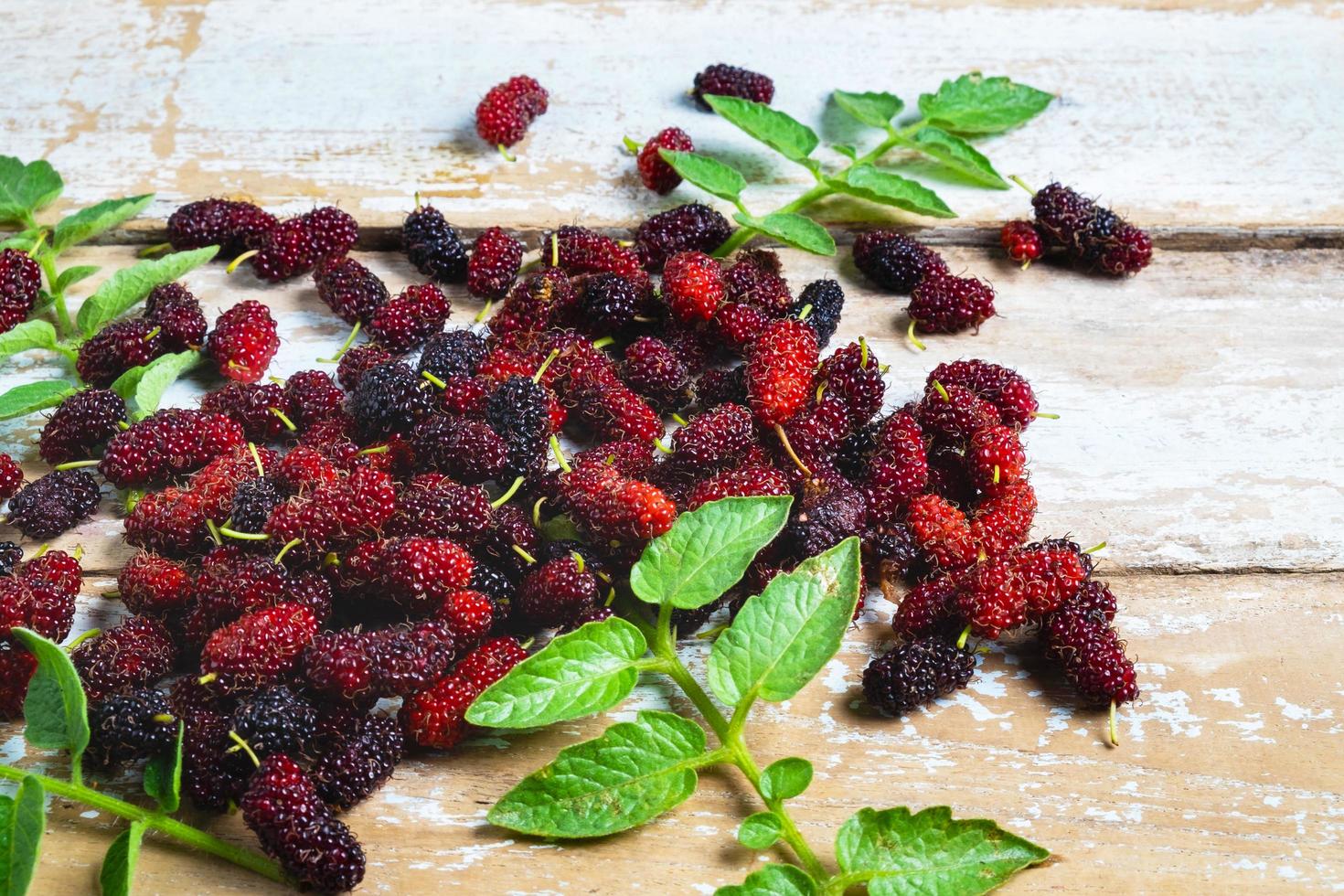 Mulberries and leaves photo