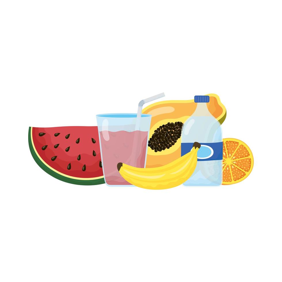 healthy food lifestyle isolated icons vector