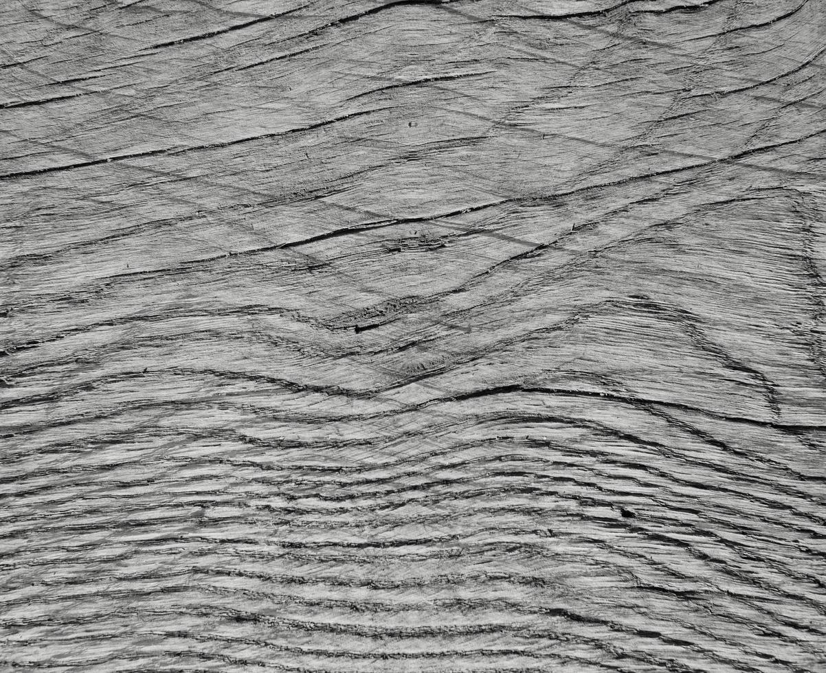 Wood grain close up photo