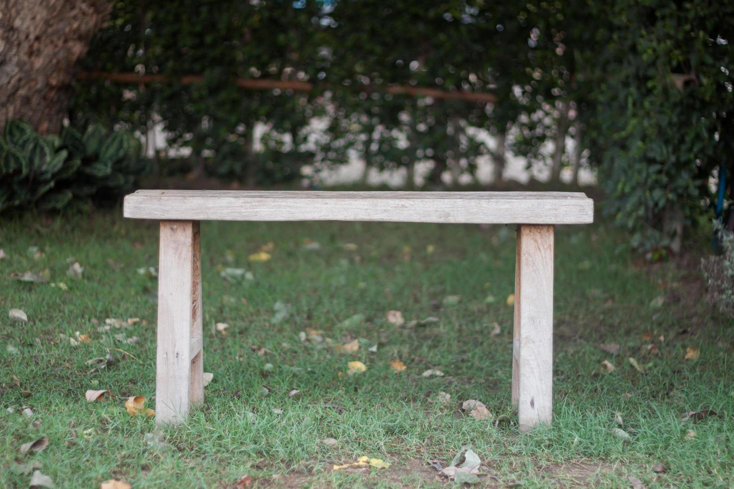 Wooden bench in a park photo