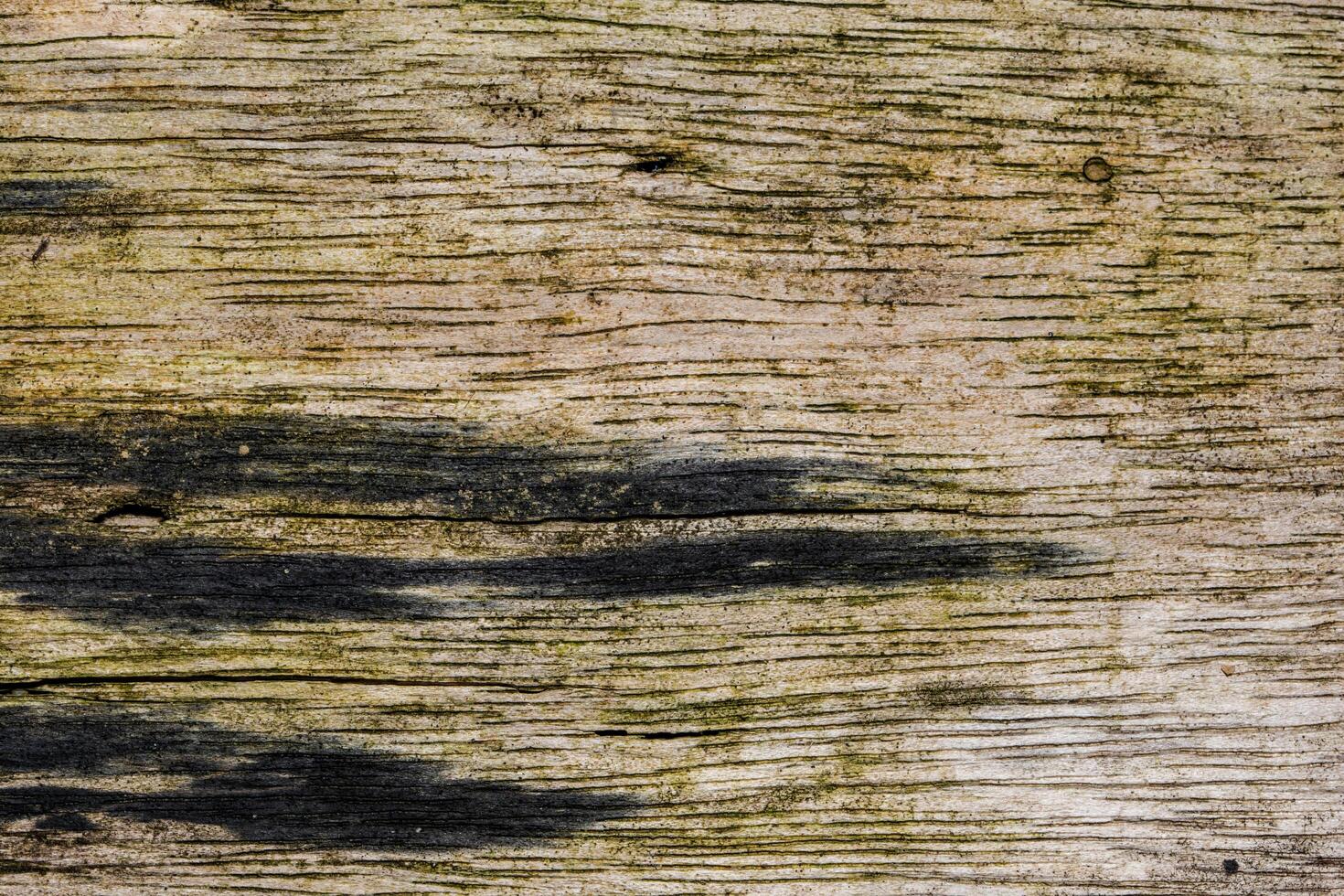 Background wood texture photo