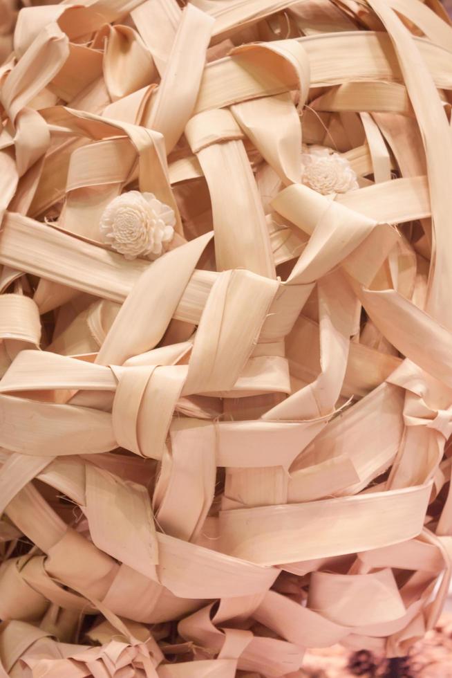 Close-up of a brown dried plant photo