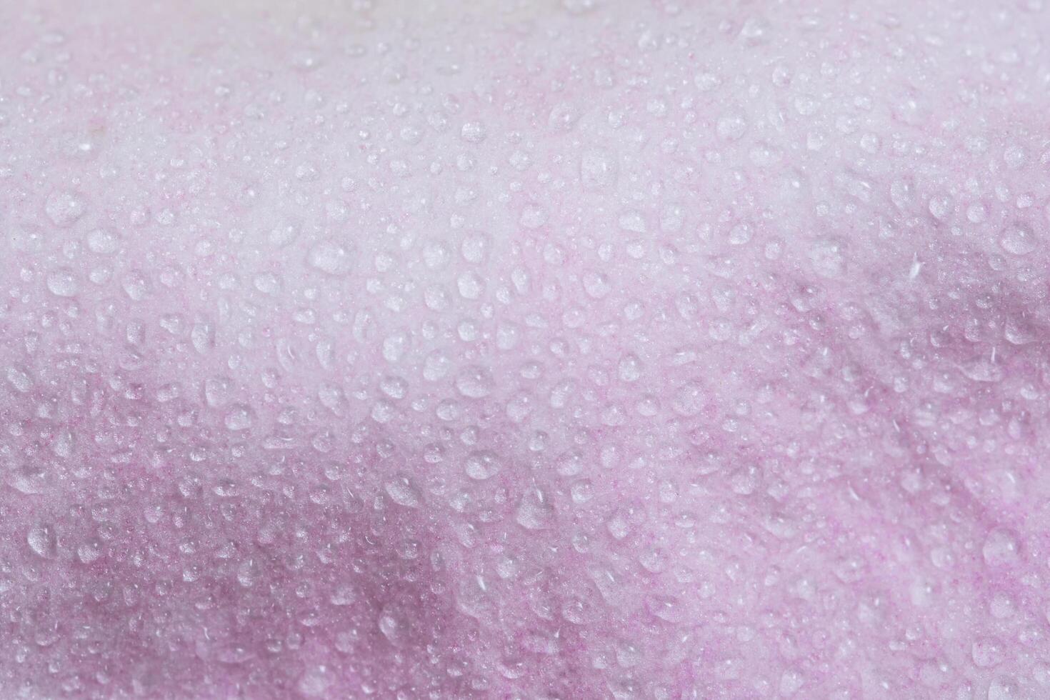 Water drops on flower petals photo