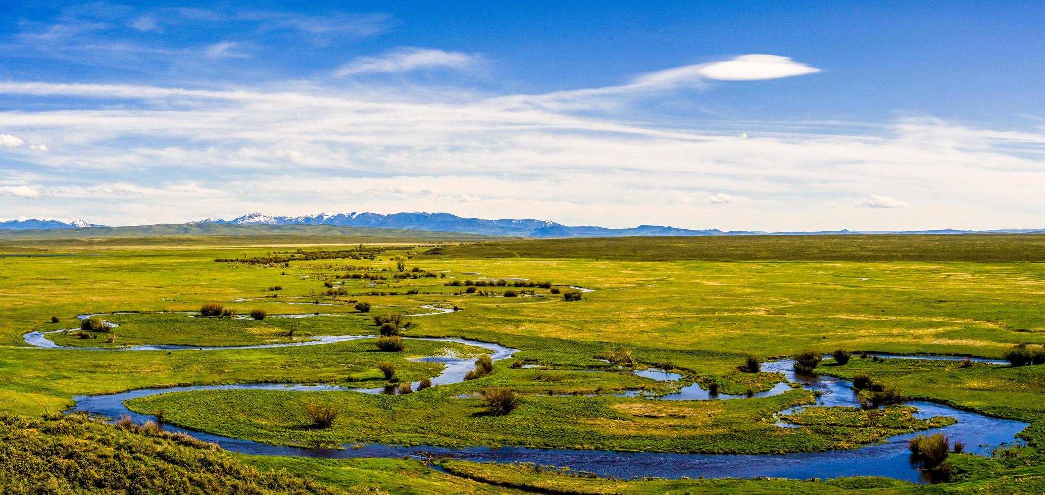 River in marshlands photo