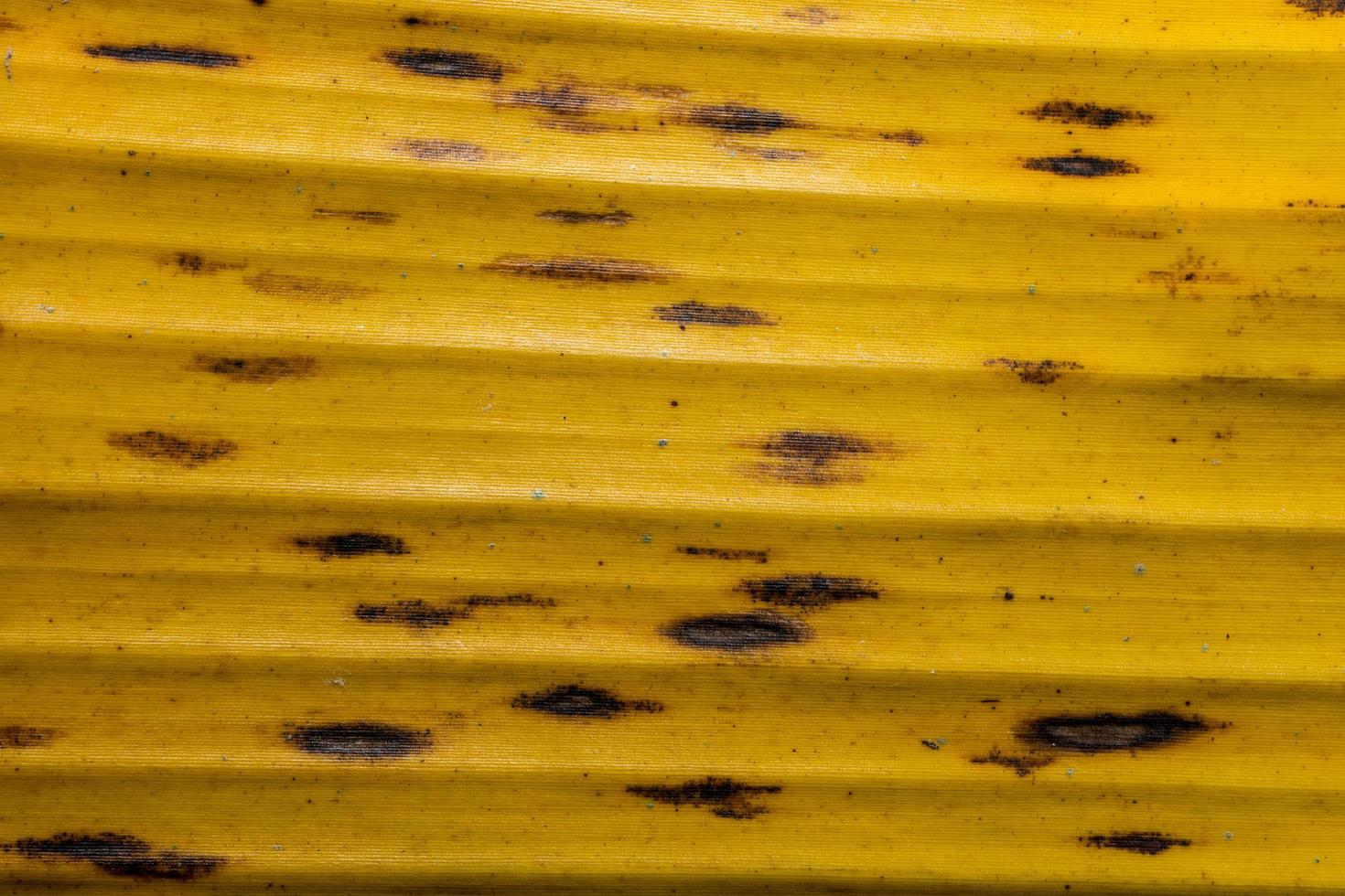 textura de madera de fondo foto