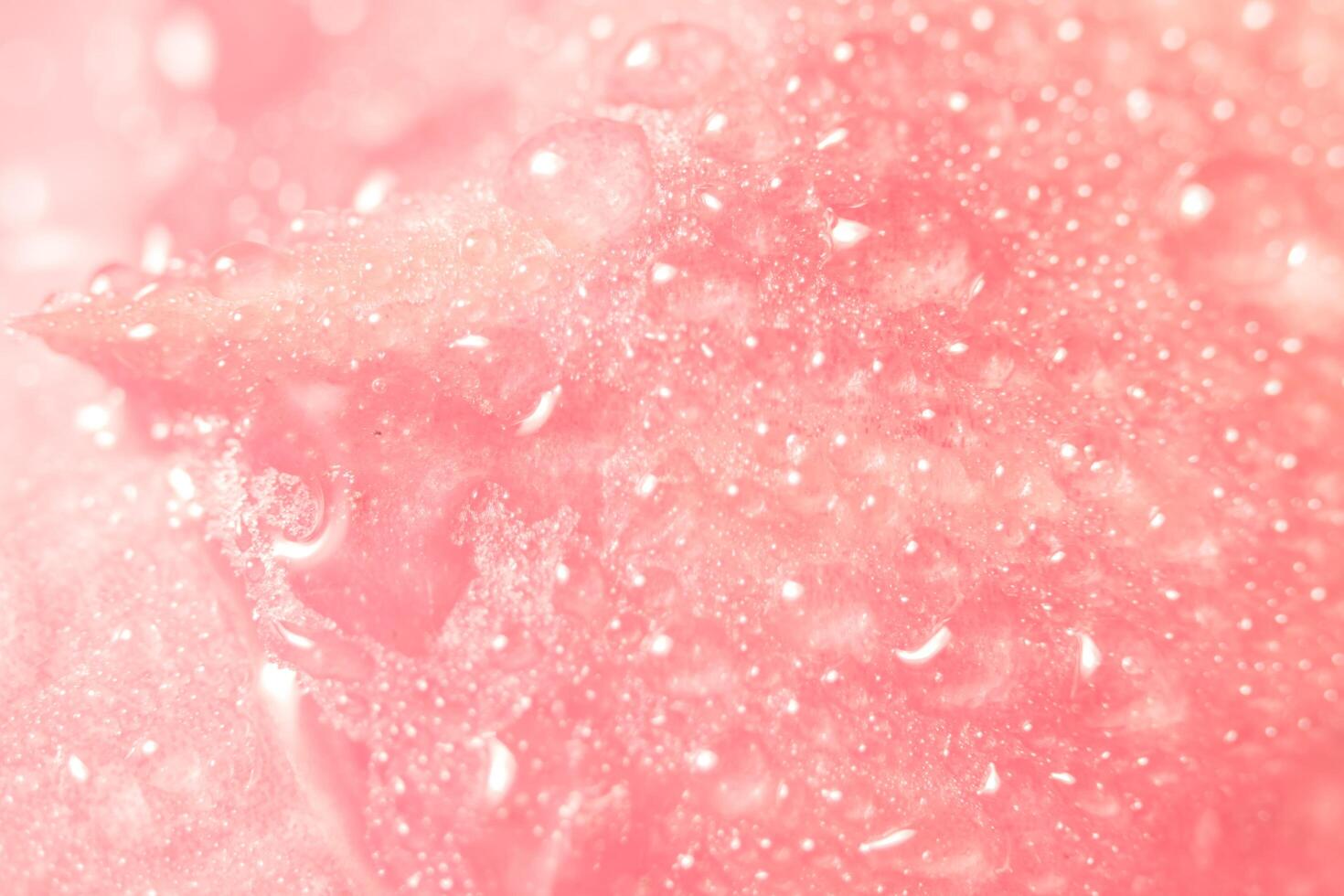 Water drops on flower petals photo