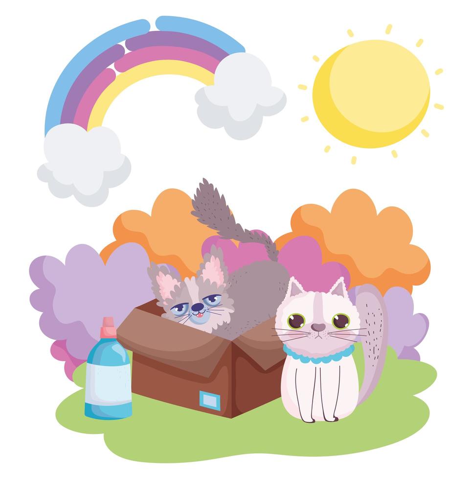 gato y otros en la caja sol paisaje mascotas vector