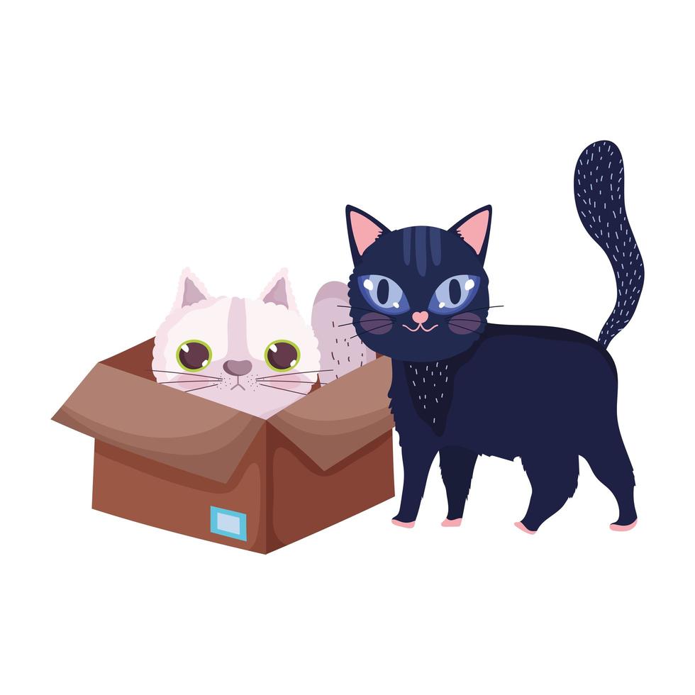 gato negro y gato blanco en caja mascotas de dibujos animados vector