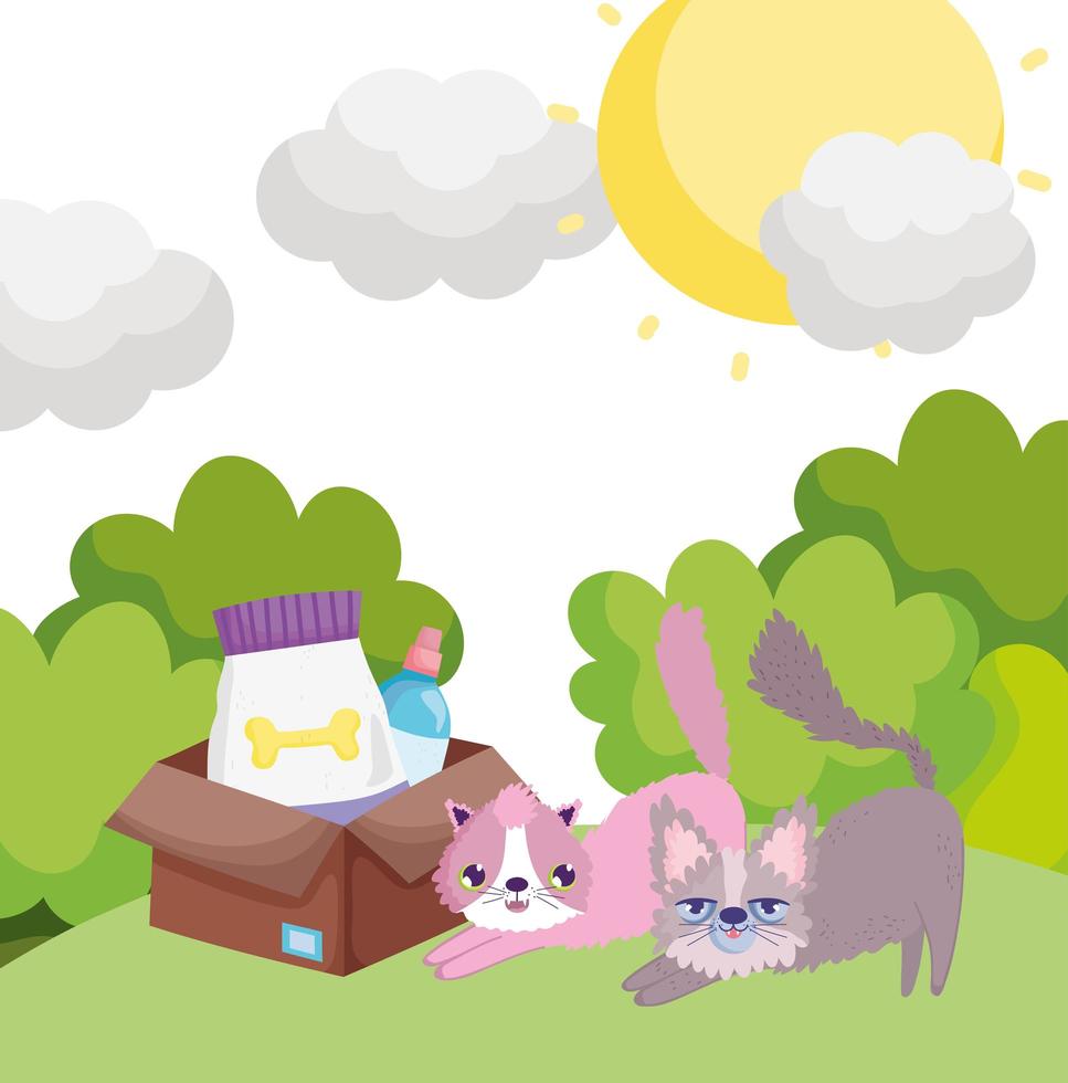 cartoon cats with box food in grass pets vector