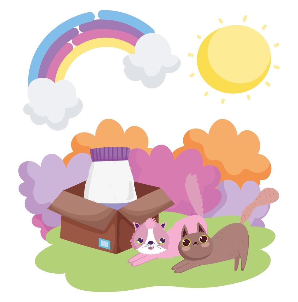 gatos con comida en caja hierba sol mascotas vector