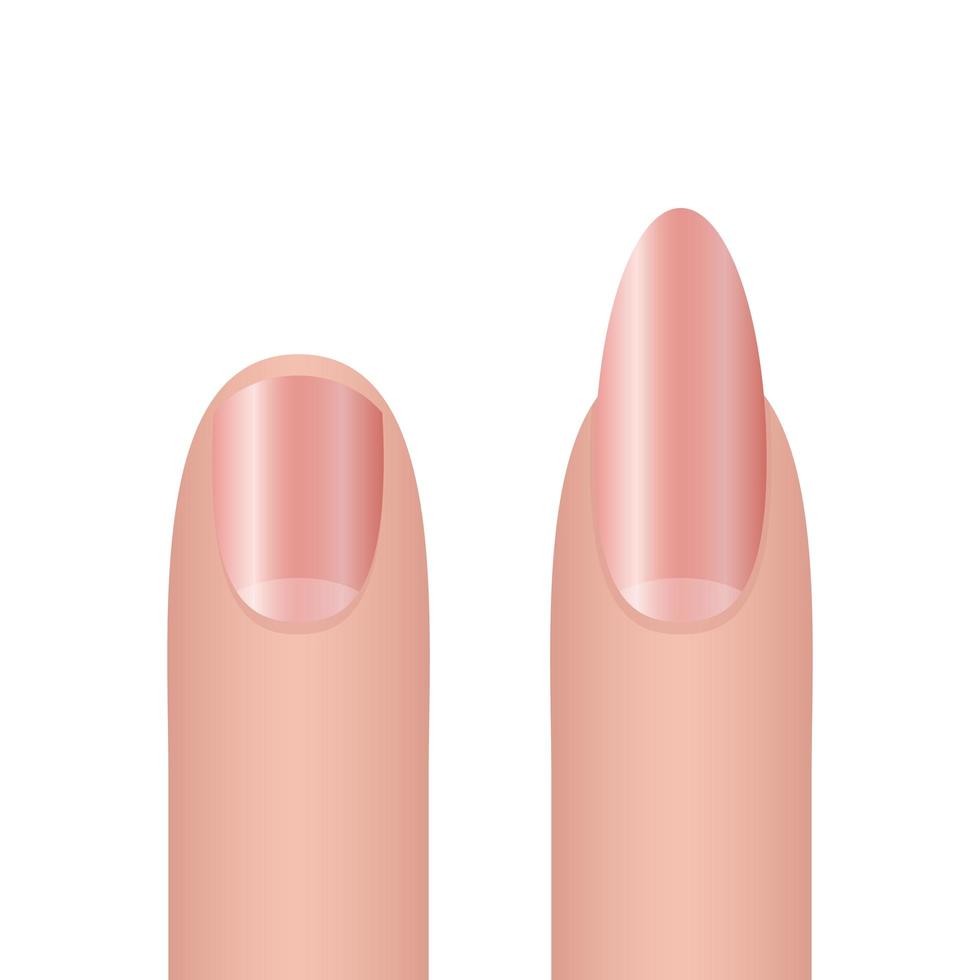 Woman fingernail mock-up set vector