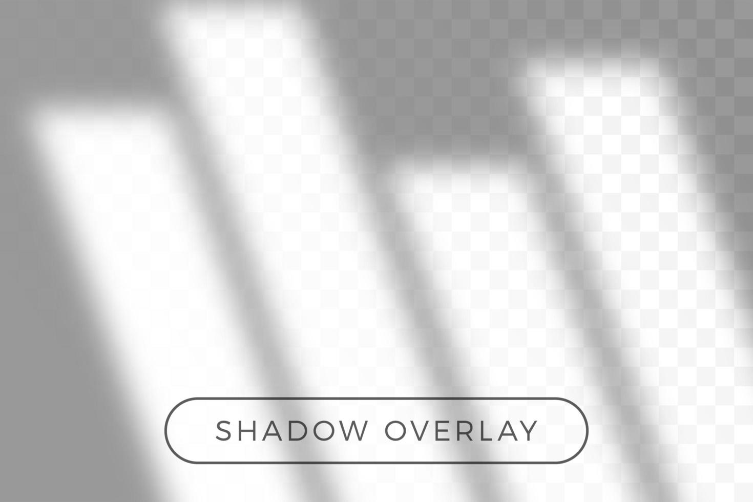 Overlay shadow of natural lighting vector
