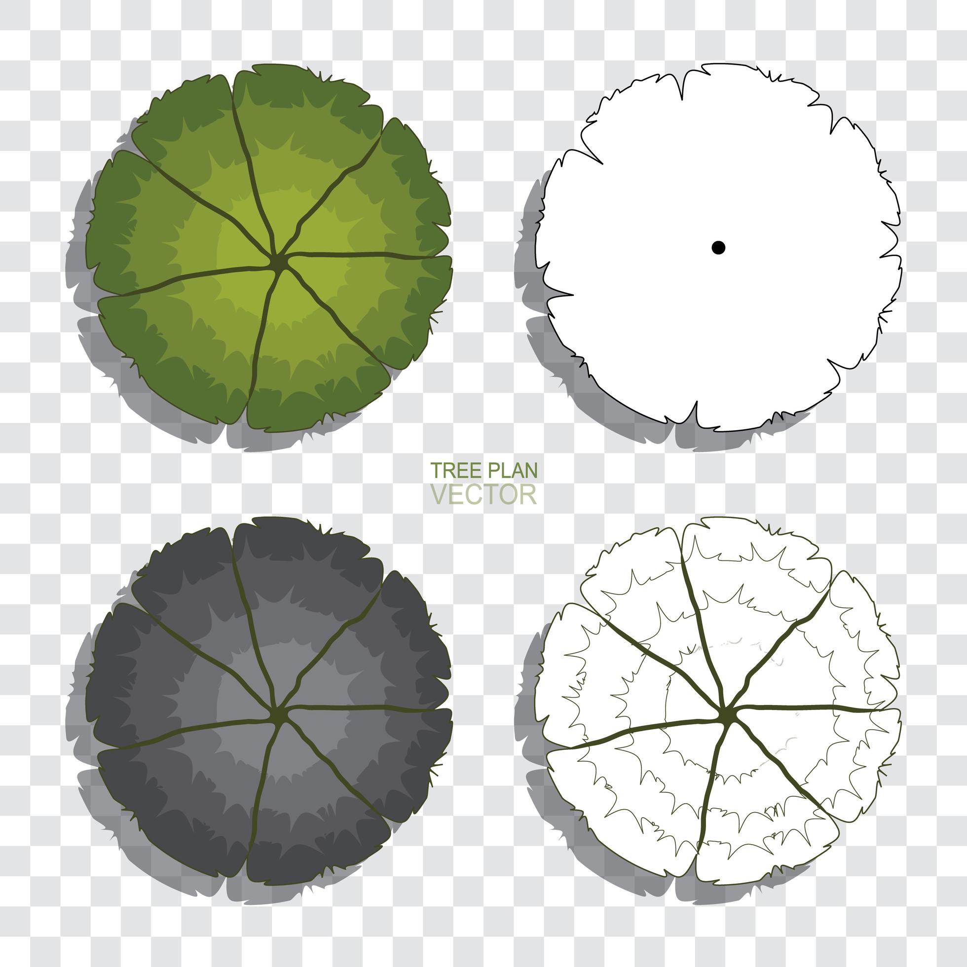 Tree Plan Abstract Drawing Sketch Set For Landscape Design Vector 