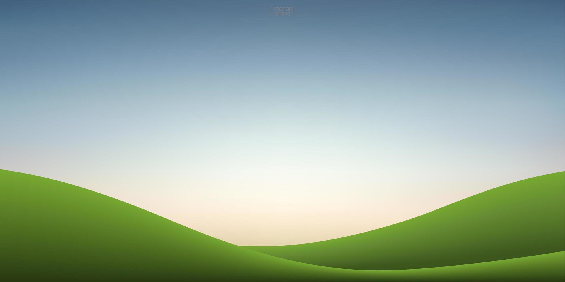 colina de hierba verde y fondo de cielo al atardecer. Fondo natural al aire libre para el diseño de plantillas. vector. vector